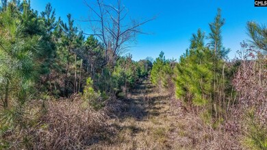 0 Proctor Rd, Cope, SC 29038 - photo 6