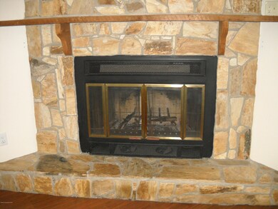 Wood burning Fireplace View