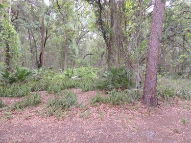 32422 Oak Park Dr. Leesburg, FL 34748-Back View