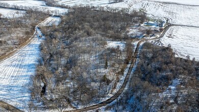 000 E 24th Rd, Bingham, IL 62011 - photo 5