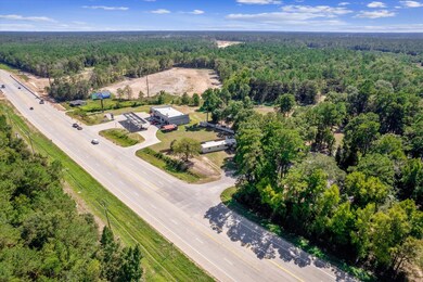 15590 Village Woods Dr, Conroe, TX 77302 - photo 5