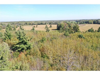 XXX Bluebird Trail Trail, Webster, WI 54893 - photo 6