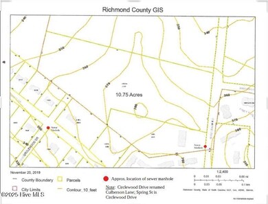 Tbd Wiregrass Rd, Hamlet, NC 28345 - photo 2