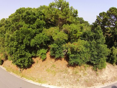 DJI00741