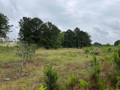 View of nature