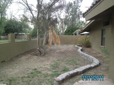 Backyard