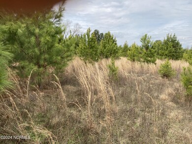 0 N Broadridge Rd unit 100444947, Orrum, NC 28369 - photo 4