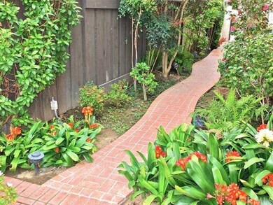 Path to back patio