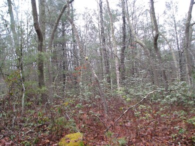 land pic 002
