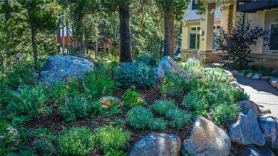 Perennial garden!