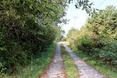Drive to the house