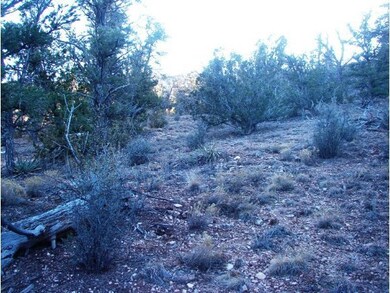 213 S Arizona Rd, Ash Fork, AZ 86320 - photo 3