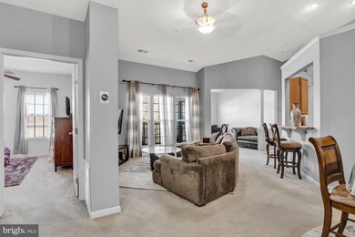 5307 Wyndholme Cir unit 403, Baltimore, MD 21229 - photo 4