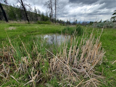 570X Tunk Creek Rd, Riverside, WA 98849 - photo 2