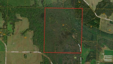 160 acres County Road 167, Moulton, AL 35650 - photo 2