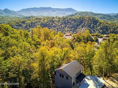 1028 Old Cartertown Rd, Gatlinburg, TN 37738 - photo 6