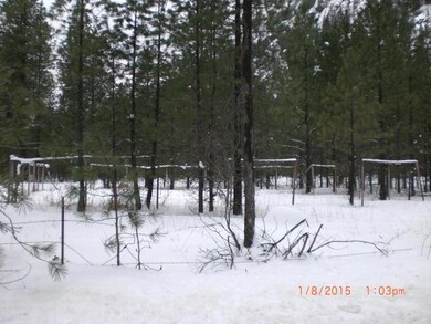 2nd garden area