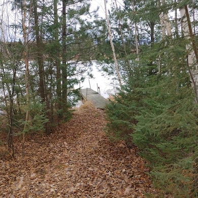 Lot 31 Shady Knoll Rd unit Lot 31, Fifield, WI 54552 - photo 5