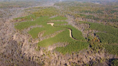 0 Old Highway 18 unit RTC2588351, Stewart, TN 37175 - photo 5