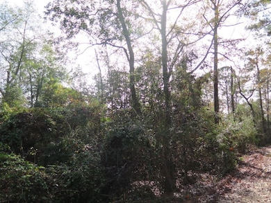 County Hwy 34 unit LotWP001, Waynesboro, MS 39367 - photo 7