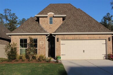 17343 Merigold Heights Dr, Conroe, TX 77302 - photo 2