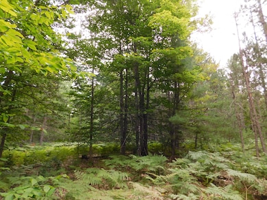 4810 Old Vanderbilt Rd, Vanderbilt, MI 49795 - photo 3