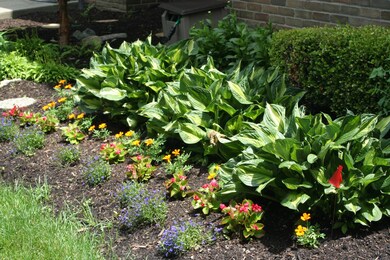 Your landscape