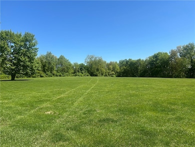 Field