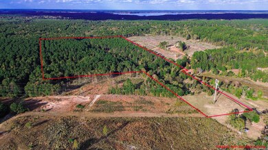 TBD Liberty Rd unit 36.6 ac, Harleton, TX 75651 - photo 5