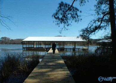 690 John Cabaniss Rd, Langston, AL 35755 - photo 6