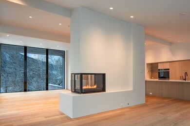 97 Mountain Laurel Ct, Aspen, CO 81611 - photo 7