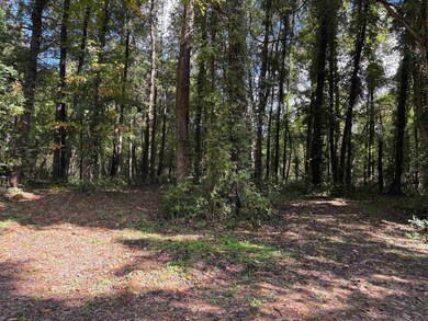 0 Bethuel Rd unit 16, Unincorporated, TN 38053 - photo 6