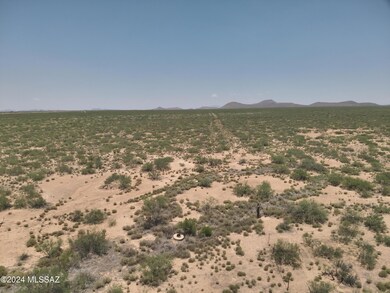 DJI_20240709121328_0004_V