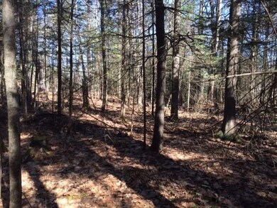 0 Mill Pond Rd, Durham, ME 04222 - photo 4