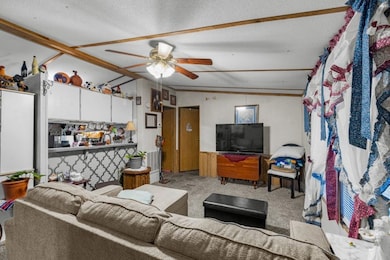 3829 N Jenkins Bridge Rd, Westminster, SC 29693 - photo 6