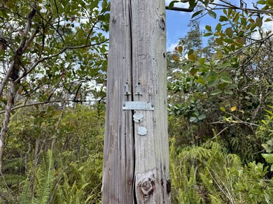 0 34th Ave unit 722010, Keaau, HI 96749 - photo 5