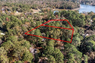 0 N Lakeview Dr unit 67956245, Point Blank, TX 77364 - photo 4