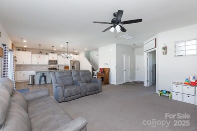 446 Brannon Meadows Dr, York, SC 29745 - photo 5