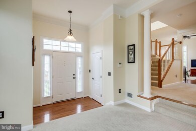43117 Royal Fern Terrace, Broadlands, VA 20148 - photo 5