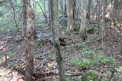 00 Miles Pond Rd, Concord, VT 05824 - photo 7