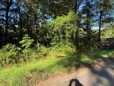 8205 Thames, Texarkana, TX 75503 - photo 2