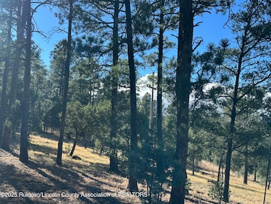 Lot 152 Del Monte Dr, Alto, NM 88312 - photo 2