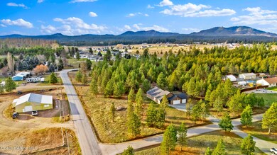 40 James Way Rd, Oldtown, ID 83822 - photo 7