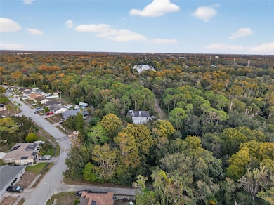 6331 Lost Trail, Holiday, FL 34690 - photo 5