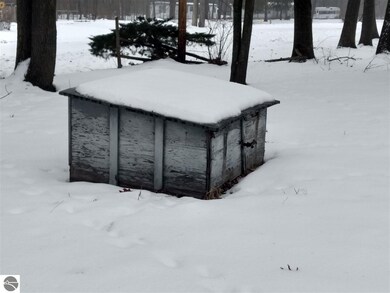 4336 W Taral Terrace Dr, Au Gres, MI 48703 - photo 3