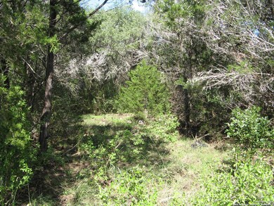 0 County Road 241, Hondo, TX 78861 - photo 7