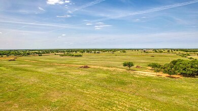 Lot 3 Pine Rd, Poolville, TX 76487 - photo 4