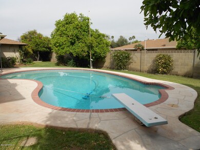 Huge back yard w/diving pool