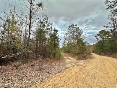 0 County Road 3122, McCool, MS 39108 - photo 2