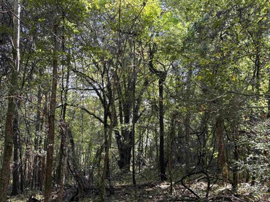 0 Bethuel Rd unit 16, Unincorporated, TN 38053 - photo 5